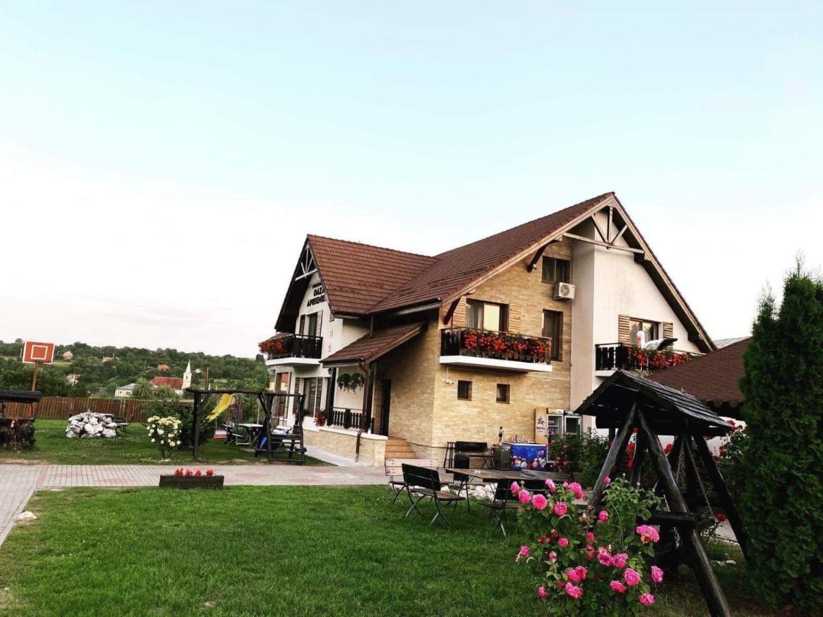 Villa Oaza Apusenilor Calarasi  Esterno foto